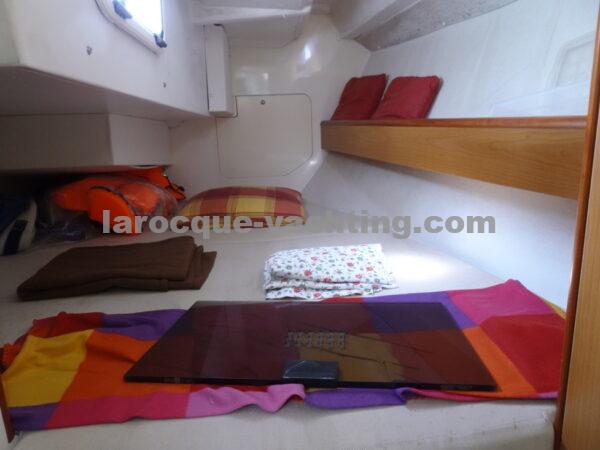 HARMONY 31 37